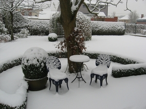 Zitplaats onder boom