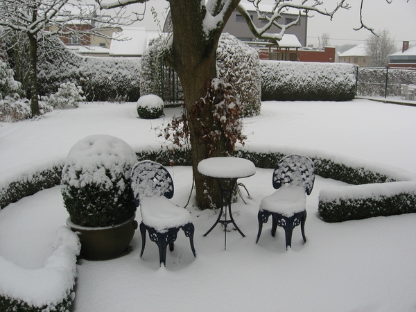 Zitplaats onder boom