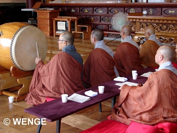 Jogyesa 16aG
