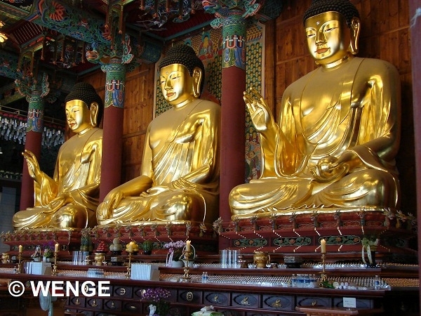 Jogyesa 8aG
