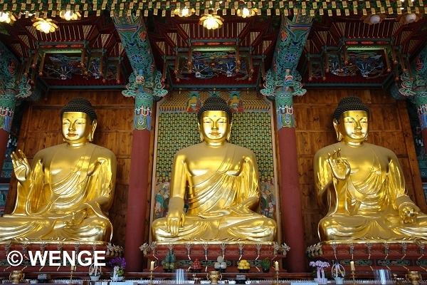 Jogyesa 9W