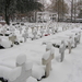 dec 2010 141