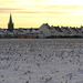 januarie 073