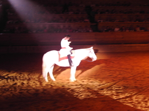 Dixie Stampede