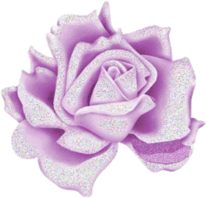 paarse roos