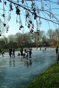 Herschaalde kopie van winter 2008 100