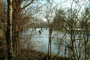 winter 2008 101