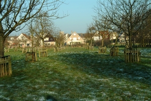 winter 2008 109