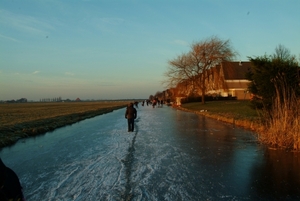 winter 2008 309