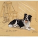 Tekening van een border collie