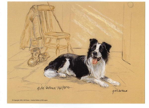 Tekening van een border collie