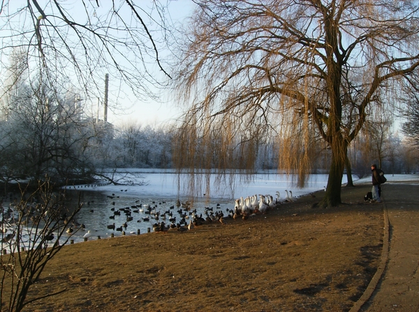 sneeuwlandschappen hier 004