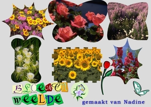 bloemenweelde