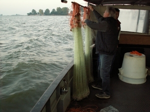 ijselmeer 021