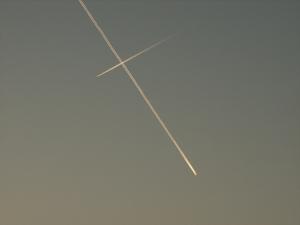 ijselmeer 028
