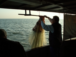 ijselmeer 037