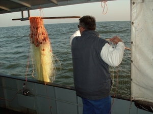 ijselmeer 041