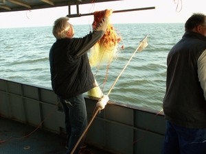 ijselmeer 042