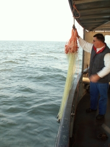 ijselmeer 048