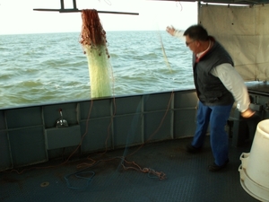 ijselmeer 051