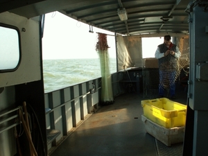 ijselmeer 067