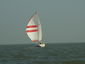 ijselmeer 068