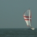 ijselmeer 069