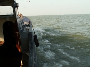 ijselmeer 074