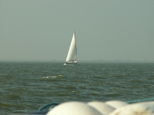 ijselmeer 075