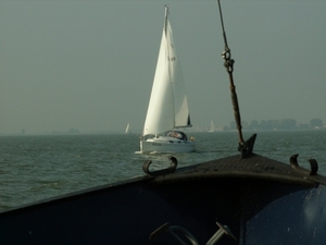 ijselmeer 078