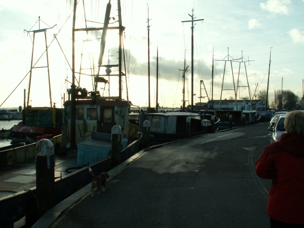 volendam 034