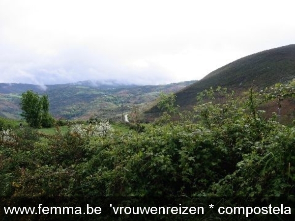 compostela KAV 2005 (1269)