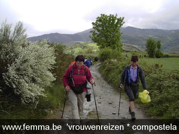 compostela KAV 2005 (1278)