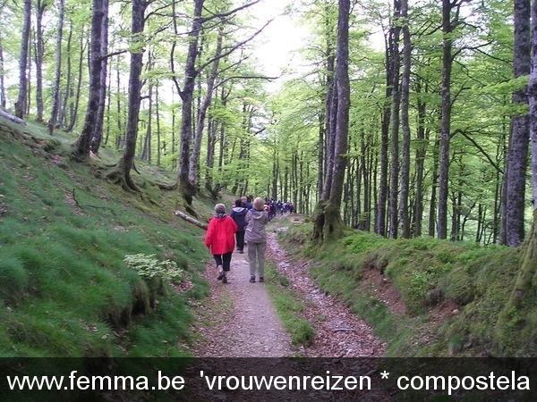 compostela KAV 2005 (1425)