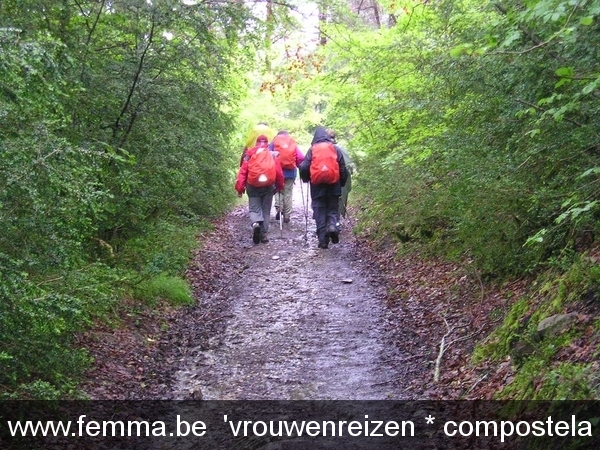 compostela KAV 2005 (1446)