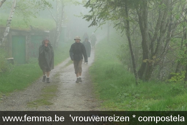 2008 genieten van het onverwachte