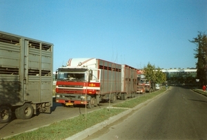 Strijk