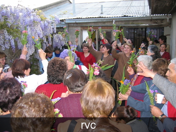 chili; domodundo; mapuche; talca
