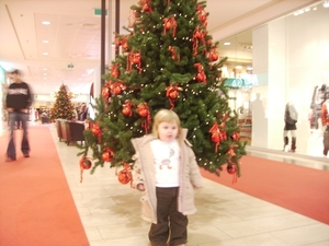 KERST 2006002