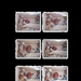 collage