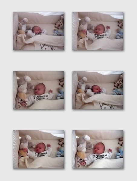 collage-2