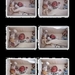 collage-4