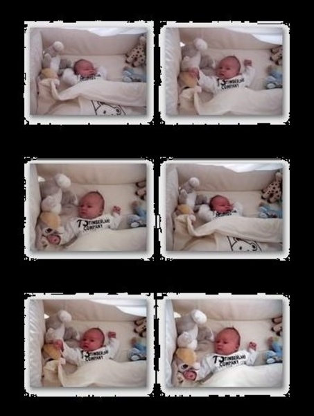 collage-4