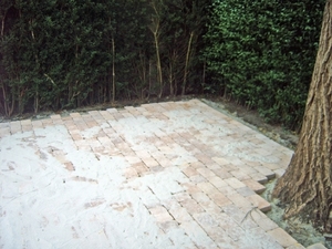 IMG00050_edited