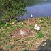 IMG_0598_edited