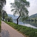 IMG_0596_edited-1