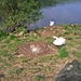IMG_0599_edited