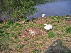 IMG_0599_edited