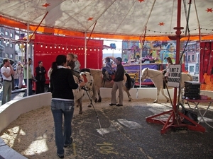 IMG_0558_edited