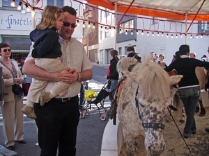 IMG_0559_edited